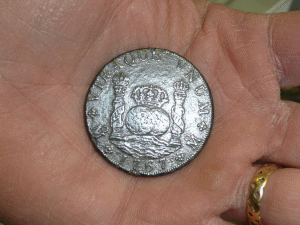 Find Rare Old Coins